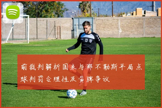 前裁判解析国米与那不勒斯平局点球判罚合理性及黄牌争议