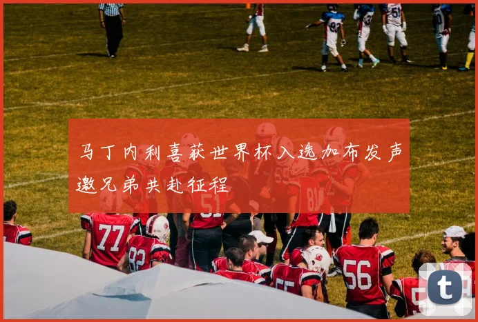 马丁内利喜获世界杯入选加布发声邀兄弟共赴征程